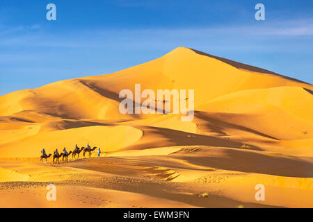 I turisti di marcia sui cammelli, Erg Chebbi deserto vicino a Merzouga, Sahara, Marocco Foto Stock