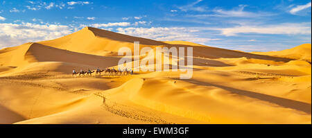 Camel caravan, Erg Chebbi deserto vicino a Merzouga, Sahara, Marocco Foto Stock