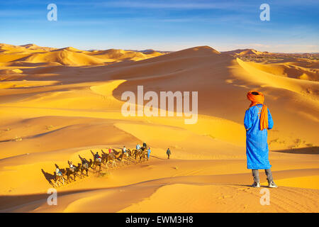 Berber uomo che guarda al camel caravan, Erg Chebbi deserto vicino a Merzouga, Sahara, Marocco Foto Stock