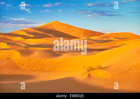 Erg Chebbi deserto vicino a Merzouga, Sahara, Marocco Foto Stock