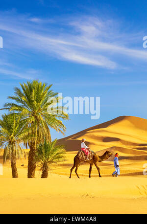 Turisti in giro in cammello, Erg Chebbi deserto vicino a Merzouga, Sahara, Marocco Foto Stock