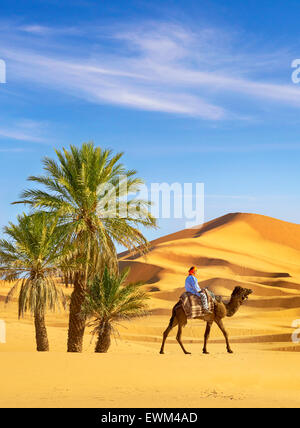 Berber uomo giro sul cammello, Erg Chebbi deserto vicino a Merzouga, Sahara, Marocco Foto Stock