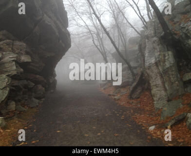 Undercliff Trail nel Trapp climbing area ("l'Gunks") in Mohonk preservare in Upstate New York. Foto Stock