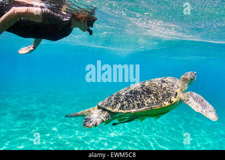 Marsa Alam - donna snorkeling vicino alla tartaruga di mare, Mar Rosso, Egitto Foto Stock