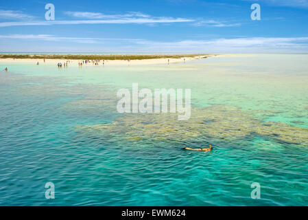 Isole Qulaan, Mar Rosso, Marsa Alam Regione, Egitto Foto Stock