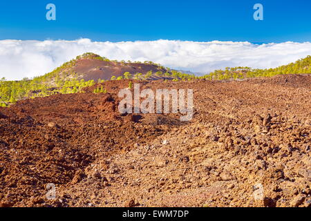 Paesaggio vulcanico, Parco Nazionale di Teide Tenerife, Isole Canarie, Spagna Foto Stock