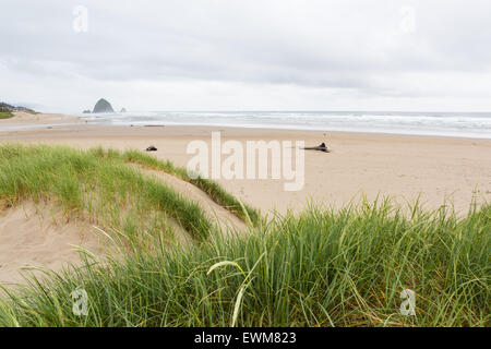 Una vista del paesaggio di Haystack Rock dal Cannon Beach dune di sabbia. Foto Stock