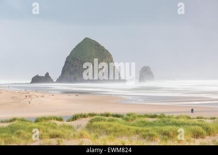Due persone ammirano Haystock Rock su una mattinata nebbiosa in Cannon Beach, Oregon. Foto Stock