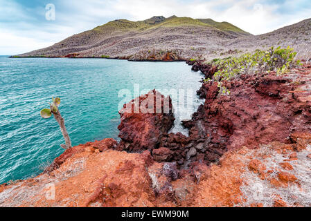 Il Red Rock paesaggio dell'isola di Santiago in isole Galapagos Foto Stock