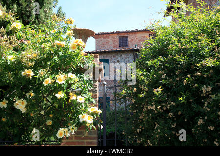 Monteleone d'Orvieto, Orvieto, Terni, Umbria, Italia Foto Stock