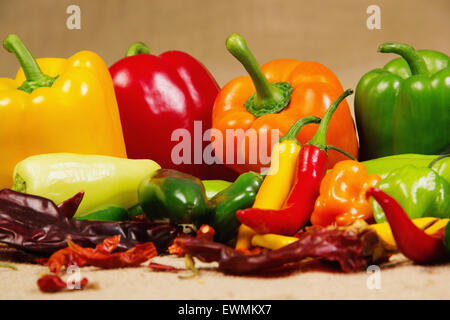 Immagine di stock di peperoncino ancora in vita, molto varia e colorata Foto Stock