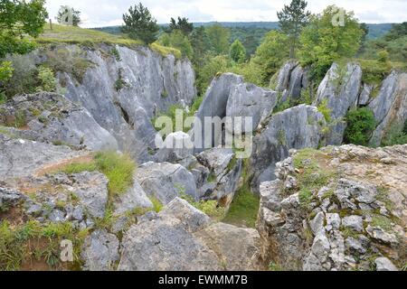 Il Fondry des Chiens (box dei cani) strano sito geologico con stretti collegamenti con lo sviluppo del carso Belgio Foto Stock