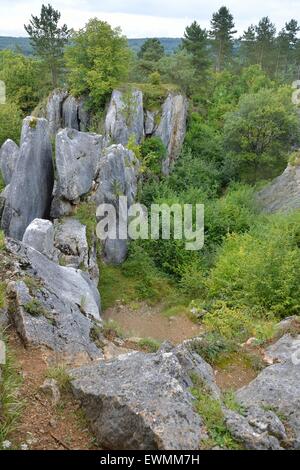 Il Fondry des Chiens (box dei cani) strano sito geologico con stretti collegamenti con lo sviluppo del carso Belgio Foto Stock