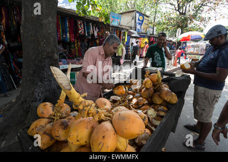 AA street market dove un venditore offrendo cocco fresco drink a tutti i suoi clienti sul suo stallo in Colombo, Sri Lanka Foto Stock