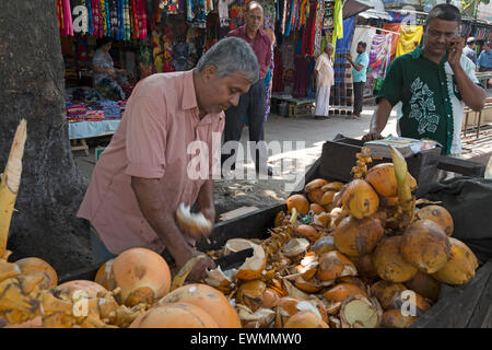 AA street market dove un venditore offrendo cocco fresco drink a tutti i suoi clienti sul suo stallo in Colombo, Sri Lanka Foto Stock