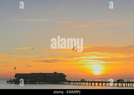 Anna Maria Island, Florida, Stati Uniti. 29th giugno 2015. Inizia un'altra splendida giornata al molo della città. 86 F, alcune tempeste che si spostano dal Golfo a nord di Tampa Bay Foto Stock