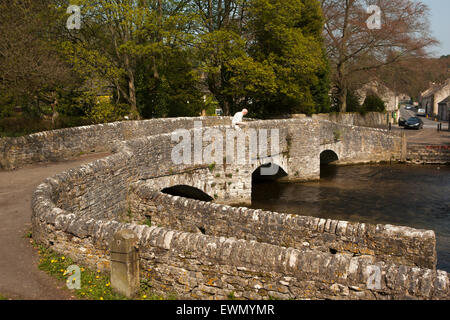 Regno Unito, Inghilterra, Derbyshire, Ashford nell'acqua, visitatore su sheepwash ponte sul fiume Wye Foto Stock