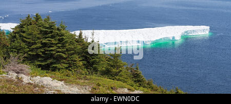 Iceberg a largo della costa vicino a Twillingate, Terranova, Canada Foto Stock