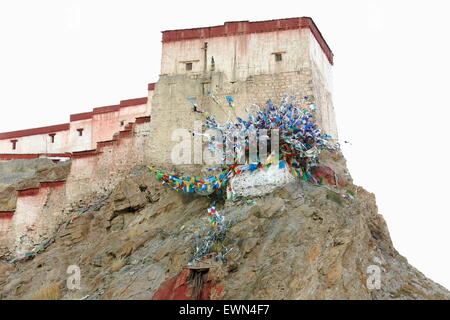 L'ANNUNCIO 1394.costruito Dzong-fort visto dalla parte inferiore della città a 3977] ms. Gyantse città e contea-Shigatse pref.-Tibet. Foto Stock