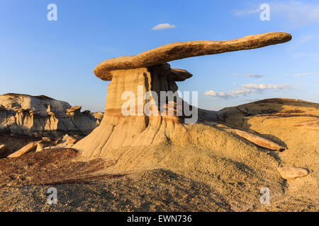 Re di Ali nel deserto Bisti, Nuovo Messico, STATI UNITI D'AMERICA Foto Stock