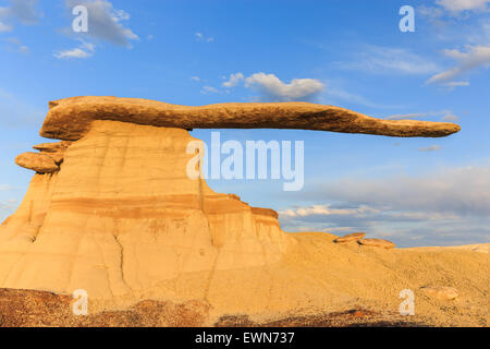 Re di Ali nel deserto Bisti, Nuovo Messico, STATI UNITI D'AMERICA Foto Stock