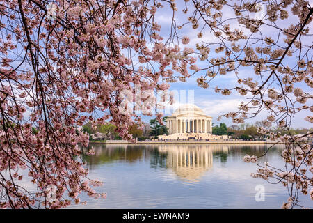 Washington, DC con il bacino di marea e Jefferson Memorial durante la primavera. Foto Stock