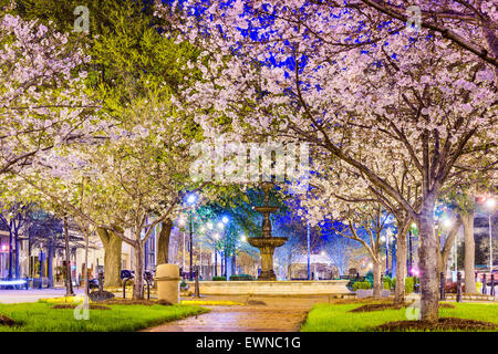 Macon, GEORGIA, STATI UNITI D'AMERICA downtown con molla fiori di ciliegio. Foto Stock