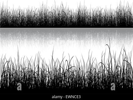 Black Grass silhouette isolati su sfondo bianco Illustrazione Vettoriale