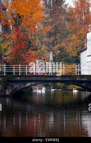 Canal scena, il centro storico di Bruges, Belgio Foto Stock