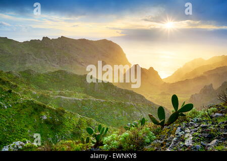 Tramonto a Tenerife, Isole Canarie, Spagna Foto Stock