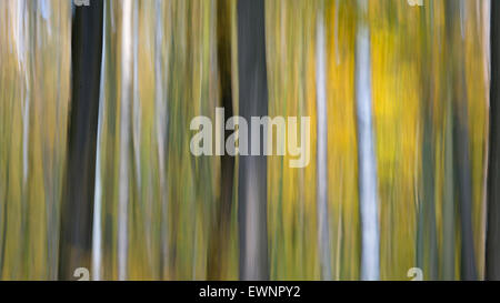 Autunno a ahlhorner fischteiche, forstamt ahlhorn, Bassa Sassonia, Germania Foto Stock