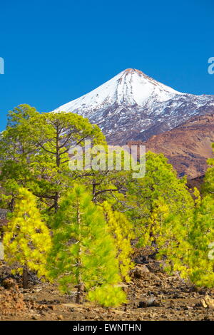 El Teide Mount, Tenerife, Isole Canarie, Spagna Foto Stock