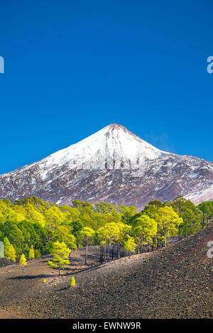 Vista del Monte Teide, Isole Canarie, Tenerife, Spagna Foto Stock