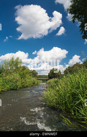 Pass di pesce nel fiume Hunte vicino goldenstedt, oldenbuger terra, Bassa Sassonia, Germania Foto Stock