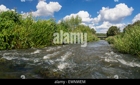 Pass di pesce nel fiume Hunte vicino goldenstedt, oldenbuger terra, Bassa Sassonia, Germania Foto Stock