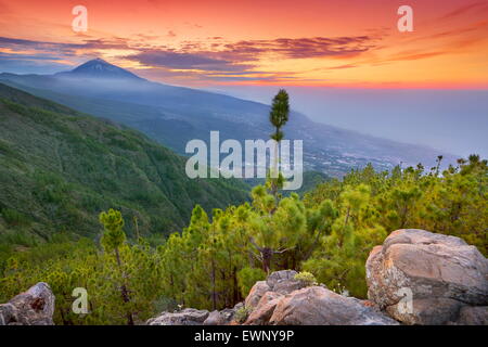 Il monte Teide paesaggio al tramonto, Tenerife, Isole Canarie, Spagna Foto Stock