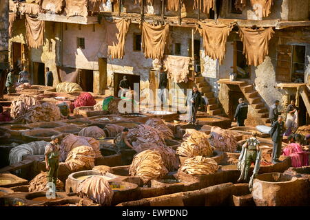 Fez Medina - Cuoio Chouwara conceria vecchio Fez, in Marocco, Africa Foto Stock