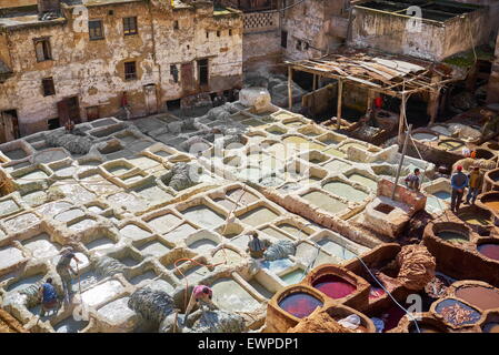 Fez - Chouwara conceria in pelle nella Medina di Fez, Marocco, Africa Foto Stock