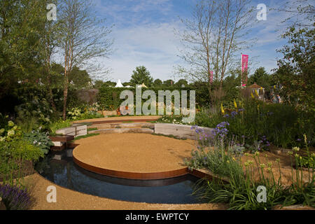 East Molesey, Regno Unito. Il 29 giugno, 2015. Hampton Court Palace flower show sulla giornata della stampa. Credito: Keith Larby/Alamy Live News Foto Stock