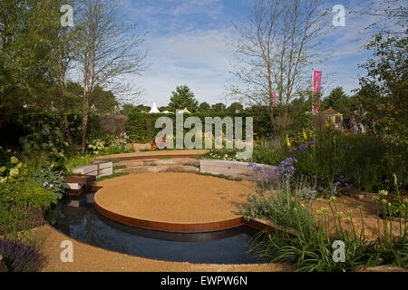 East Molesey, Regno Unito. Il 29 giugno, 2015. Hampton Court Palace flower show sulla giornata della stampa. Credito: Keith Larby/Alamy Live News Foto Stock