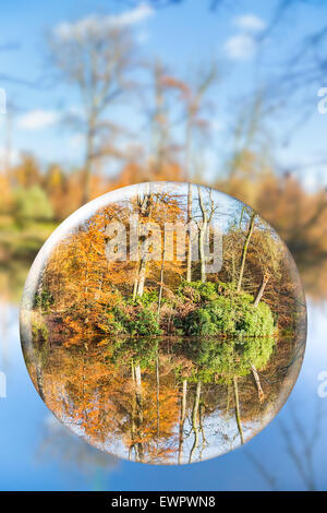 Sfera di cristallo con la foresta di autunno la riflessione in esso Foto Stock