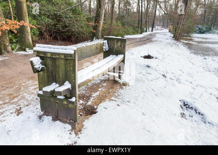 Panca di legno nella foresta lungo il sentiero con la neve nella stagione invernale Foto Stock