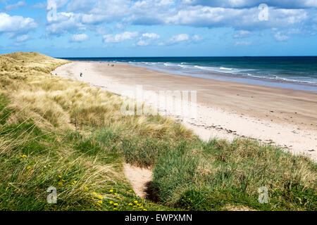 Ampia spiaggia di sabbia a Seahouses, Northumberland, England, Regno Unito Foto Stock