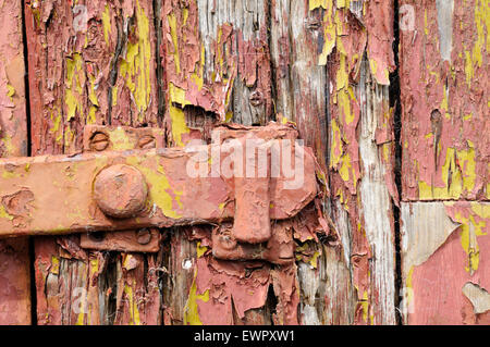 Close up di rosa e giallo peeling vernice su un vecchio weathered porta di legno e bloccare Foto Stock