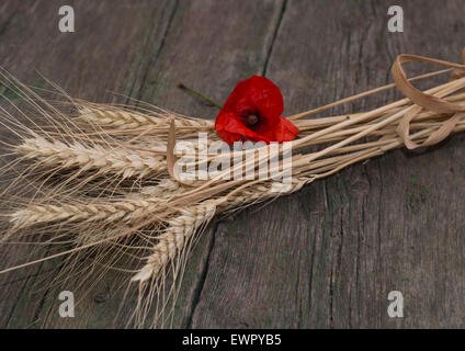 Il collegamento di grano decorata con un fiore di papavero rosso Foto Stock