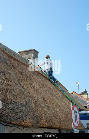 Irlanda, County Wexford, Kilmore Quay cottage, (ex casa in legno) Foto Stock