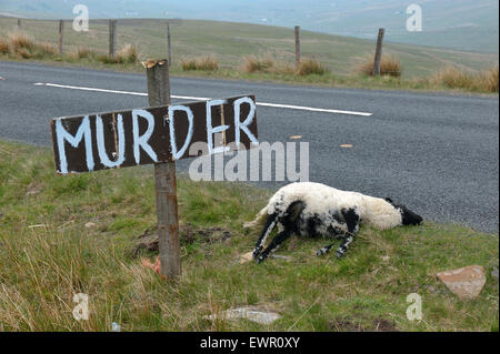 N Yorks agricoltore richiede più attenzione da driver per evitare incidenti con il suo bestiame Foto Stock