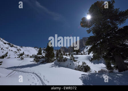 In inverno il paesaggio di montagna in diretta luce posteriore, Rofan, Tirolo, Austria Foto Stock