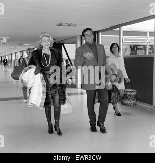 Zsa Zsa Gabor arriva a Heathrow Airport per una breve visita. Lei è arrivata all'aeroporto con asta di Taylor che è qui per una settimana e parteciperà alla premiere del suo nuovo film "Nessuno corre per sempre". Il 21 agosto 1968. Foto Stock