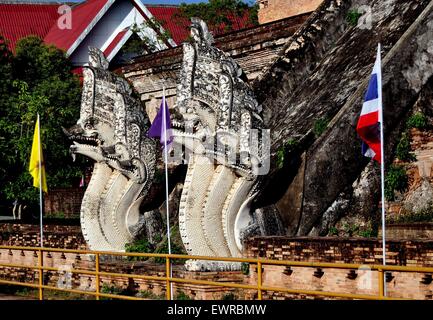 Chiang Mai, Thailandia: due imponenti cinque capo-Naga dragons fiancheggiano una scala al 1401 grande Chedi a Wat Chedi Luang Foto Stock